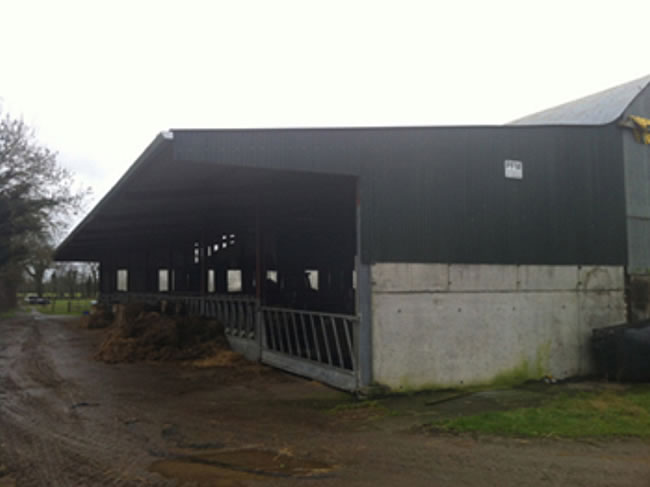 Shed/ Agricultural